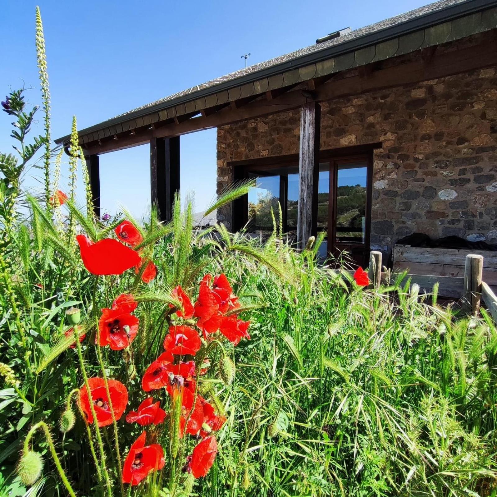 Refugio Del Aguila "Casa Diaman" Guejar Sierra Exterior foto
